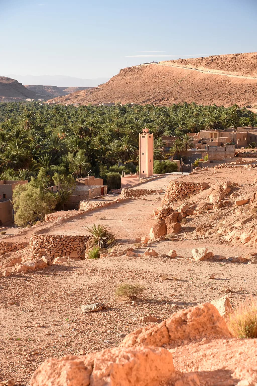 Desert Oasis Village