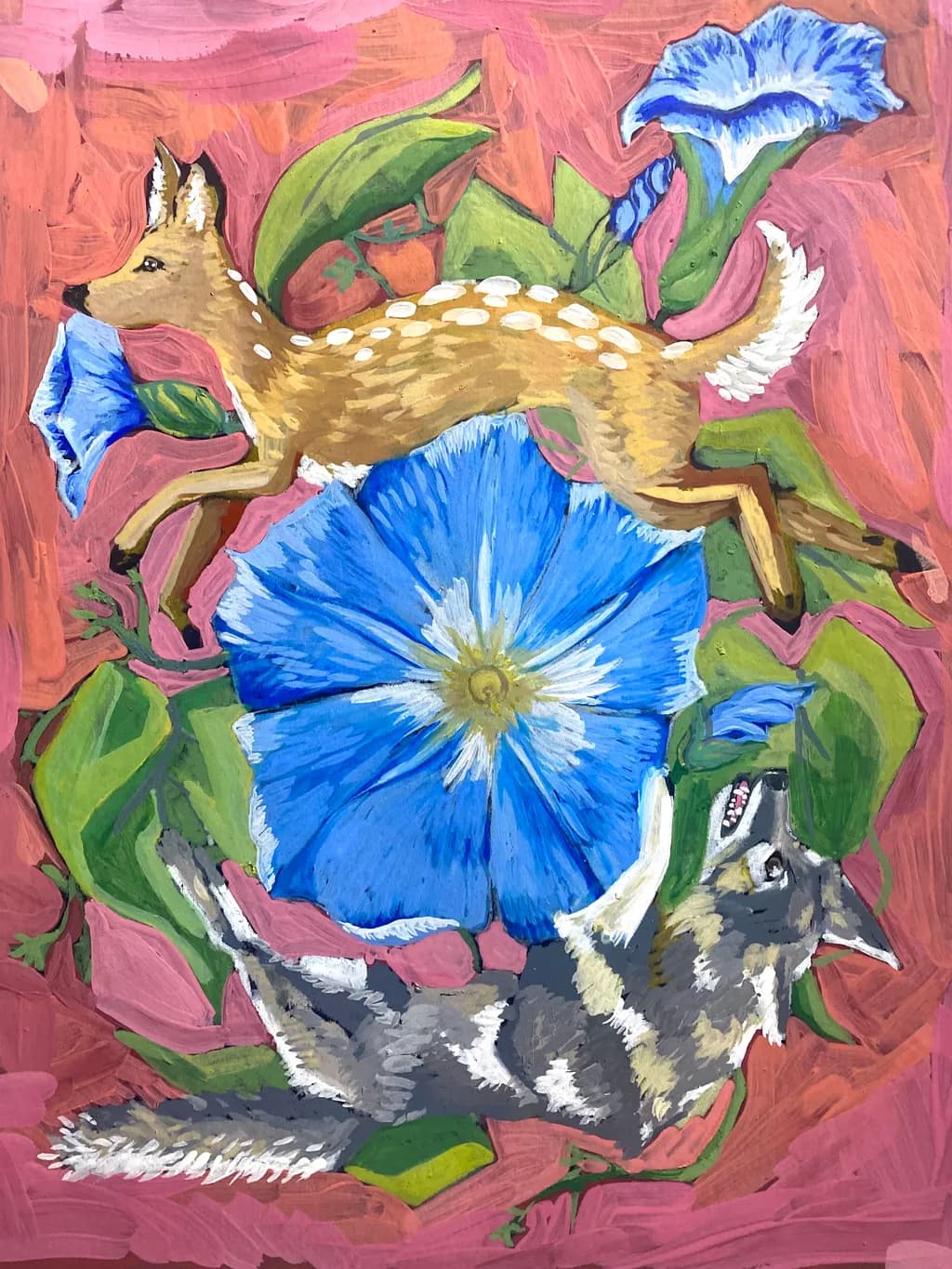 morning glory