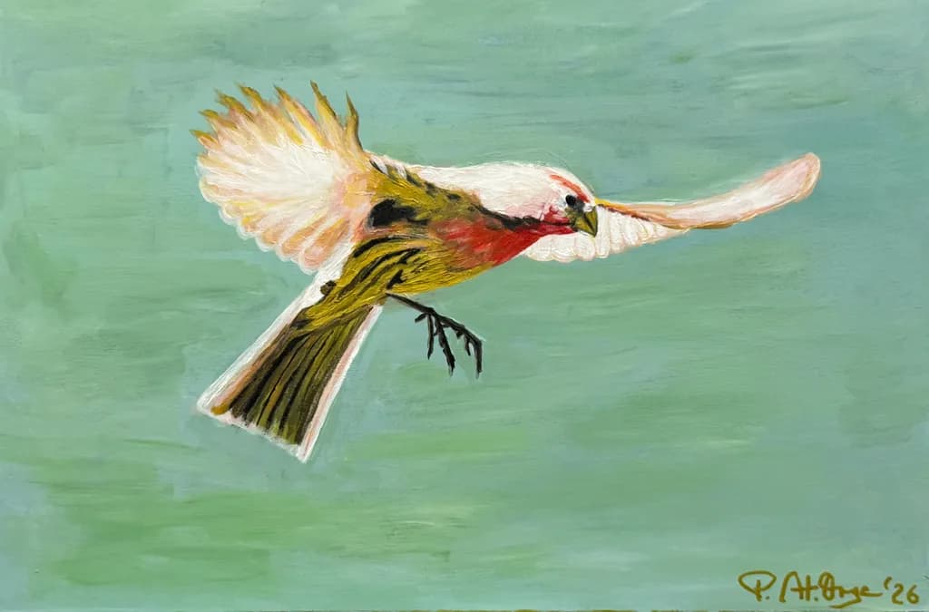 Bird