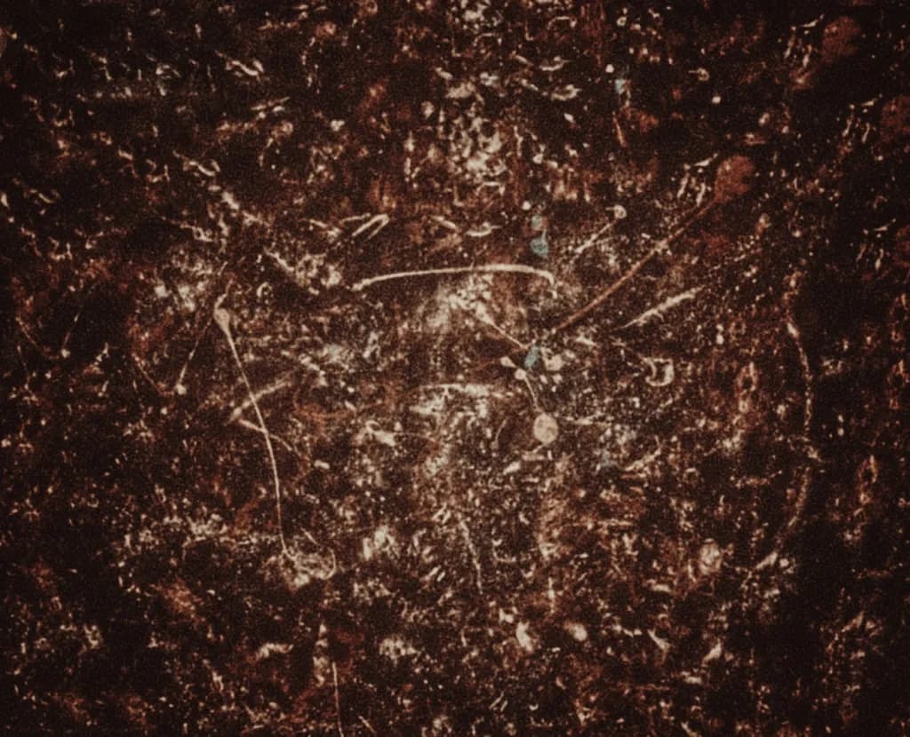 Ravaged souls. Eternity in darkness.